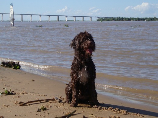 Esta es Henna! En el Rio Parana!